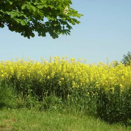Domaine De Bernicaille Saint-Cirice